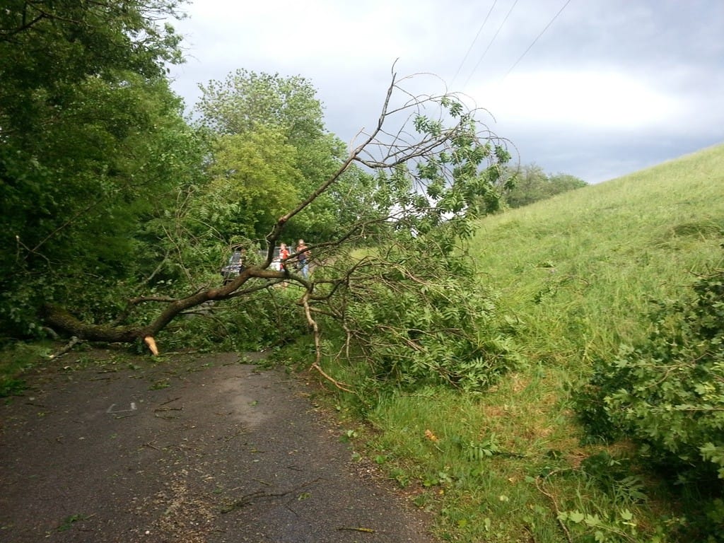 Dégâts liés aux rafales de vent sous orage, le 13 juin 2013, au Bois-d'Oingt, dans le Rhône. (c) F. FONTAINE