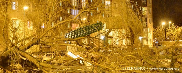 Arbres brisés et tôle arrachée, à Roubaix, rue de Carihem, lors des virulents orages de l'après-midi du 3 janvier 2014. (c) KERAUNOS