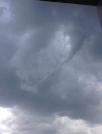 Tuba dans les environs d'Aubignosc (Alpes-de-Haute-Provence), le 16 juin 2014. (c) (c) Mathieu CHOLET