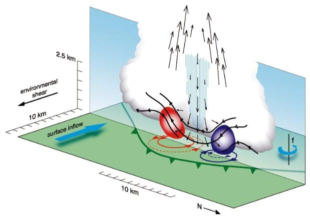 Schéma détaillant le mécanisme de génération des mésovortex de basses couches au sein des systèmes orageux linéaires. (c) Trapp & Weisman, 2003. Schéma détaillant le mécanisme de génération des mésovortex de basses couches au sein des systèmes orageux linéaires. (c) Trapp & Weisman, 2003.