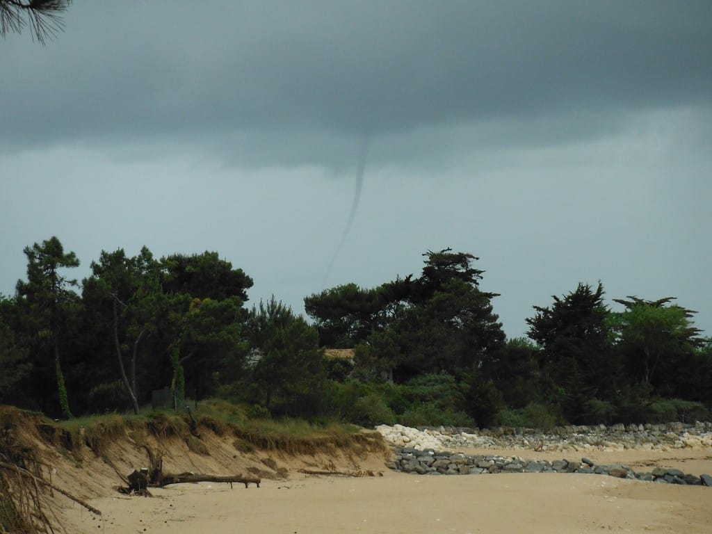 Tuba au nord de l'ile d'Oléron (Charente-Maritime), le 12 mai 2014 vers 10h30 locales. Photo : CPIE Marennes d'Oléron