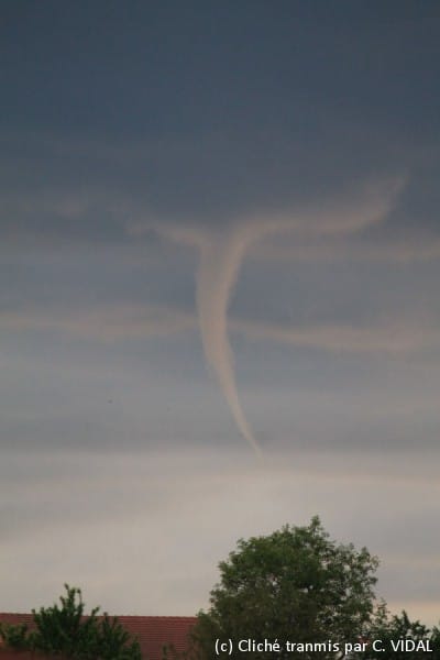 Tuba près de Fontenoy-la-Joûte (Meurthe-et-Moselle) le 28 mai 2014. (c) Cliché transmis par C. VIDAL Tuba près de Fontenoy-la-Joûte (Meurthe-et-Moselle) le 28 mai 2014. (c) Cliché transmis par C. VIDAL