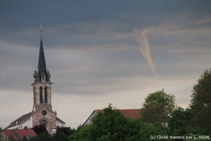 Tuba près de Fontenoy-la-Joûte (Meurthe-et-Moselle) le 28 mai 2014. (c) Cliché transmis par C. VIDAL Tuba près de Fontenoy-la-Joûte (Meurthe-et-Moselle) le 28 mai 2014. (c) Cliché transmis par C. VIDAL