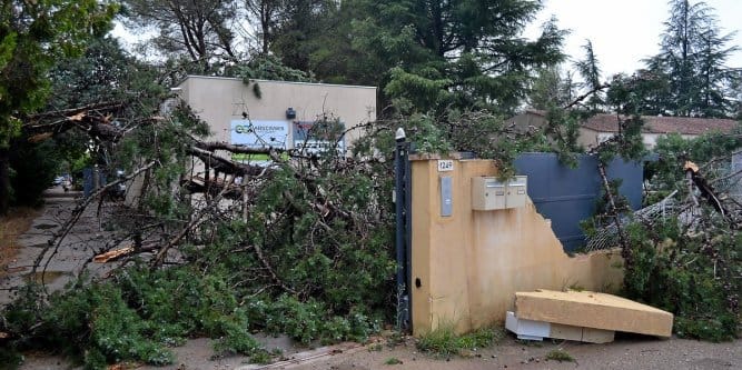 Dégâts causés par un phénomène venteux violent le 23 août 2015 à Villetelle (Hérault). © Midi Libre