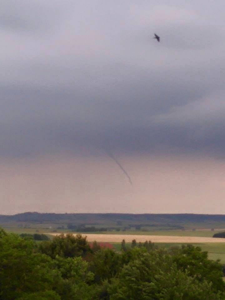 Tuba dans les environs de Moyenvic (Moselle), le 15 juin 2015. © Stéphanie G. / Météolor