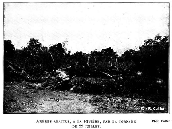 Tornade EF2 de la Rivière (Isère) du 22 juillet 1924 - Noyeraies dévastées après la tornade. © R. Cutler Tornade EF2 de la Rivière (Isère) du 22 juillet 1924 - Noyeraies dévastées après la tornade. © R. Cutler