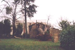 Tornade EF1 de Rouillé (Vienne) du 2 janvier 1998 - Arbre déraciné. © Mairie de Rouillé / Jean-Philippe FORESTIER Tornade EF1 de Rouillé (Vienne) du 2 janvier 1998 - Arbre déraciné. © Mairie de Rouillé / Jean-Philippe FORESTIER