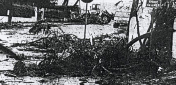 Tornade EF2 de Semussac (Charente-Maritime) du 19 novembre 1996 - Débris projetés à distance - Végétation endommagée. © Archives Sud-Ouest Tornade EF2 de Semussac (Charente-Maritime) du 19 novembre 1996 - Débris projetés à distance - Végétation endommagée. © Archives Sud-Ouest