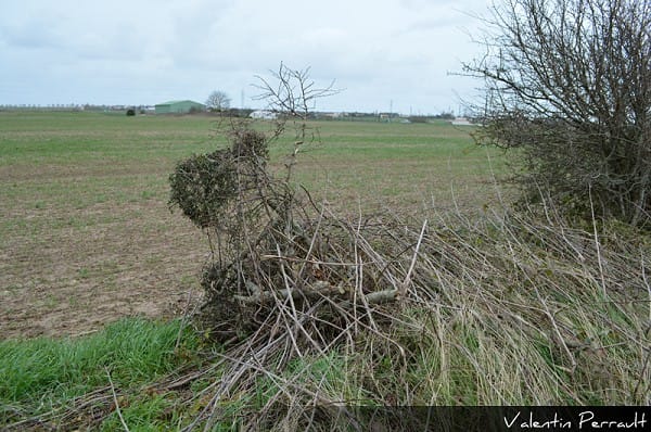 Tornade EF1 de Luçon (Vendée) du 3 mars 2014 - Premières traces de la tornade à proximité d'une voie de chemin de fer (c) Valentin Perrault Tornade EF1 de Luçon (Vendée) du 3 mars 2014 - Premières traces de la tornade à proximité d'une voie de chemin de fer (c) Valentin Perrault