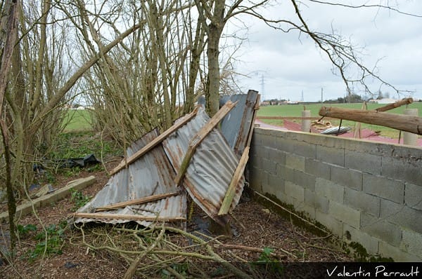 Tornade EF1 de Luçon (Vendée) du 3 mars 2014 - Le Petit Fougeroux - Tôles d'un hangar tordues, repliées et projetées à contreflux autour d'un tronc d'arbre (c) Valentin Perrault Tornade EF1 de Luçon (Vendée) du 3 mars 2014 - Le Petit Fougeroux - Tôles d'un hangar tordues, repliées et projetées à contreflux autour d'un tronc d'arbre (c) Valentin Perrault