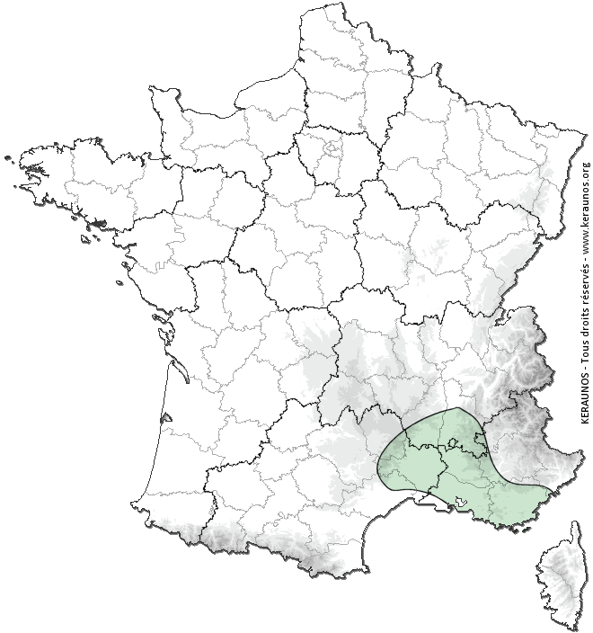 Carte de probabilité d'activité de foudre intense