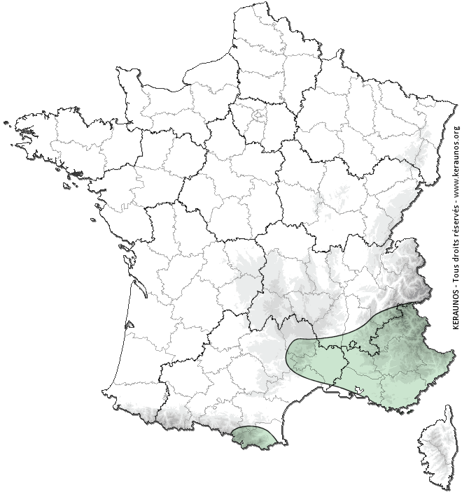 prevision-orages-tornades-probabilite-orage-j1.png?r=6285022