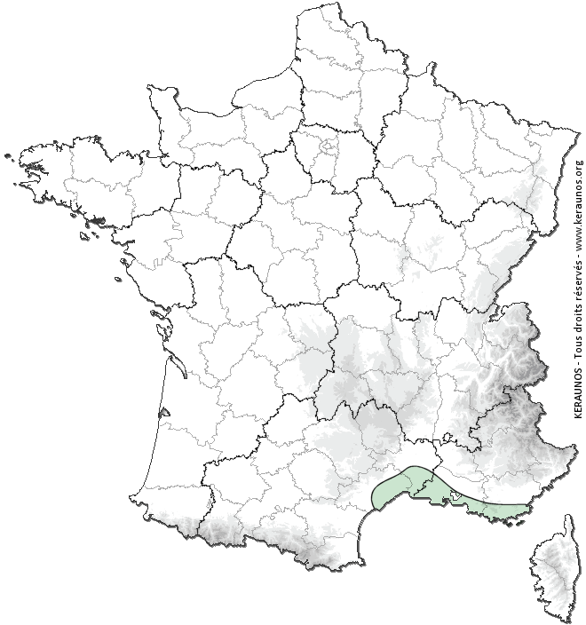 Carte de probabilité de tornade