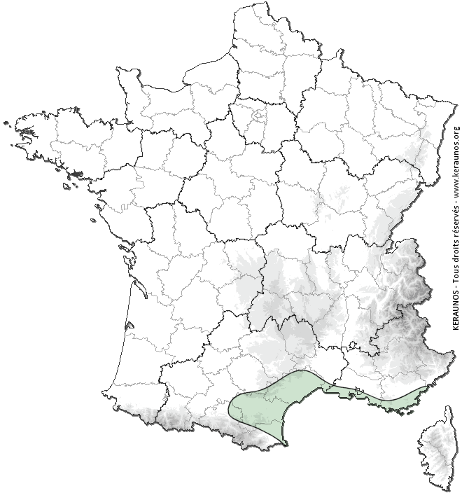 Carte de probabilité de tornade