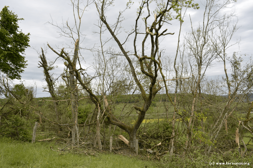 Dégâts consécutifs à la tornade EF1 de Chanoy - (c) KERAUNOS