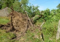 Rapport d'enquête sur les vents destructeurs observés à Oigney, en Haute-Saône, le 18 juillet