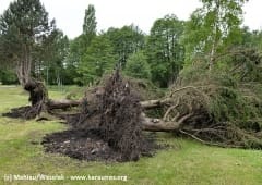 Publication du rapport d'enquête sur les orages du 21 mai dans les Yvelines