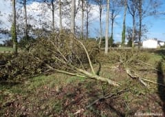 Rapport d'enquête sur la tornade d'Arvert (Charente-Maritime) du 3 novembre