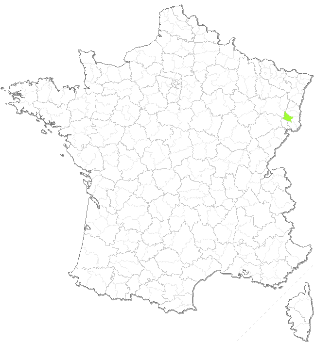 Carte de suivi des orages, foudre et intensité des orages, en direct