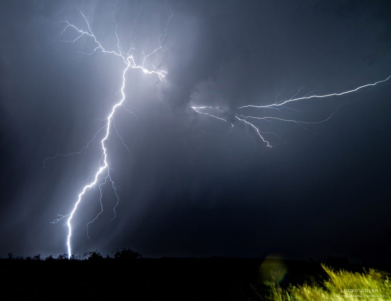 © Lucas ADLER © Lucas ADLER