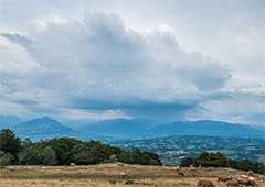 Dégradation orageuse estivale sur les Alpes ce 1 août