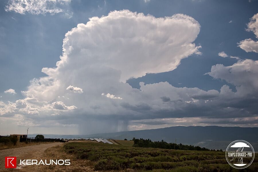 © Xavier DELORME © Xavier DELORME