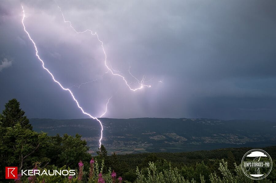 © Xavier DELORME © Xavier DELORME