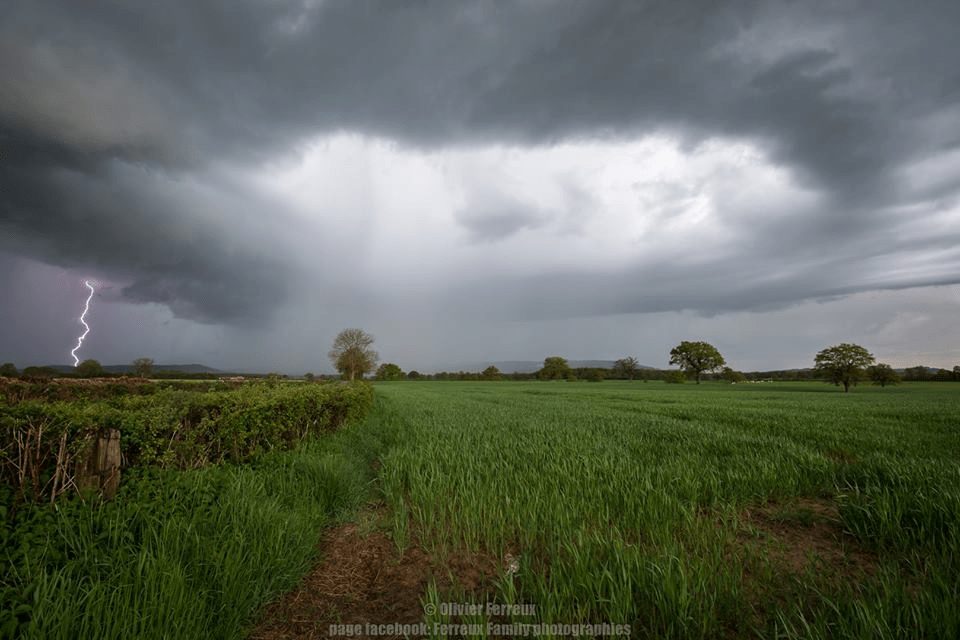 Foudre en forêt du Morvan le 26 avril 2015