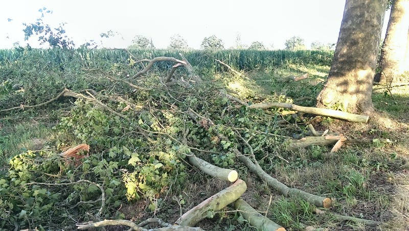 Dégâts consécutifs à la macrorafale de la nuit du 25 au 26 juillet 2013 en sud Charente. (c) V. Castagna Dégâts consécutifs à la macrorafale de la nuit du 25 au 26 juillet 2013 en sud Charente. (c) V. Castagna