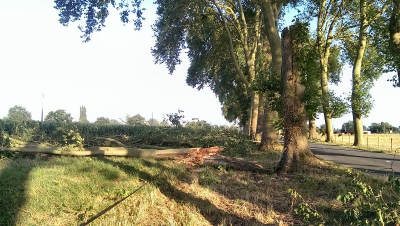 Dégâts consécutifs à la macrorafale de la nuit du 25 au 26 juillet 2013 en sud Charente. (c) V. Castagna Dégâts consécutifs à la macrorafale de la nuit du 25 au 26 juillet 2013 en sud Charente. (c) V. Castagna