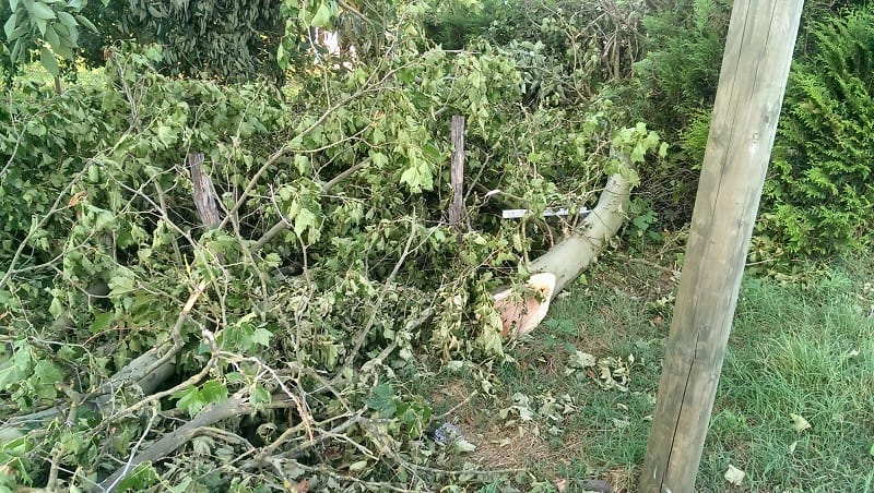 Dégâts consécutifs à la macrorafale de la nuit du 25 au 26 juillet 2013 en sud Charente. (c) V. Castagna Dégâts consécutifs à la macrorafale de la nuit du 25 au 26 juillet 2013 en sud Charente. (c) V. Castagna