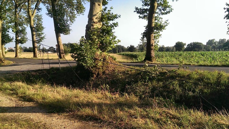 Dégâts consécutifs à la macrorafale de la nuit du 25 au 26 juillet 2013 en sud Charente. (c) V. Castagna Dégâts consécutifs à la macrorafale de la nuit du 25 au 26 juillet 2013 en sud Charente. (c) V. Castagna