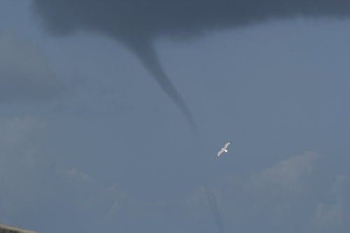 Trombe marine au large de Bonifacio le 19 mai 2013 à 11h50 locales. (c) Antoine Angelici / Corse-Matin Trombe marine au large de Bonifacio le 19 mai 2013 à 11h50 locales. (c) Antoine Angelici / Corse-Matin