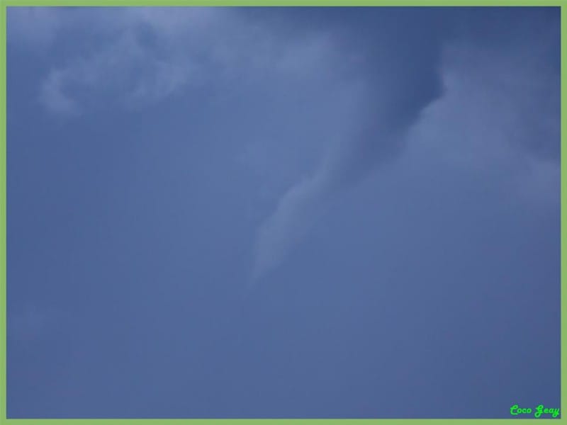 Tuba à Mazières-en-Gâtine, en Poitou-Charentes (Deux-Sèvres), le 29 septembre 2013. (c) "Coco-Geay" Tuba à Mazières-en-Gâtine, en Poitou-Charentes (Deux-Sèvres), le 29 septembre 2013. (c) "Coco-Geay"