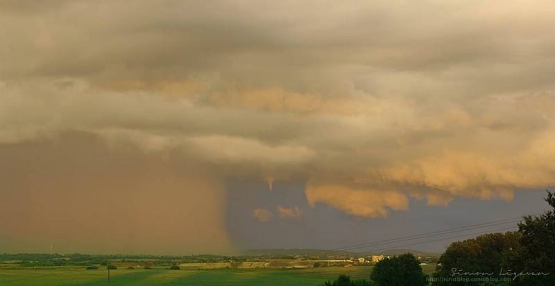 Tuba à Bazoges-en-Pareds (Vendée) le 29 septembre 2013. (c) Simon Ligavan. Tuba à Bazoges-en-Pareds (Vendée) le 29 septembre 2013. (c) Simon Ligavan.