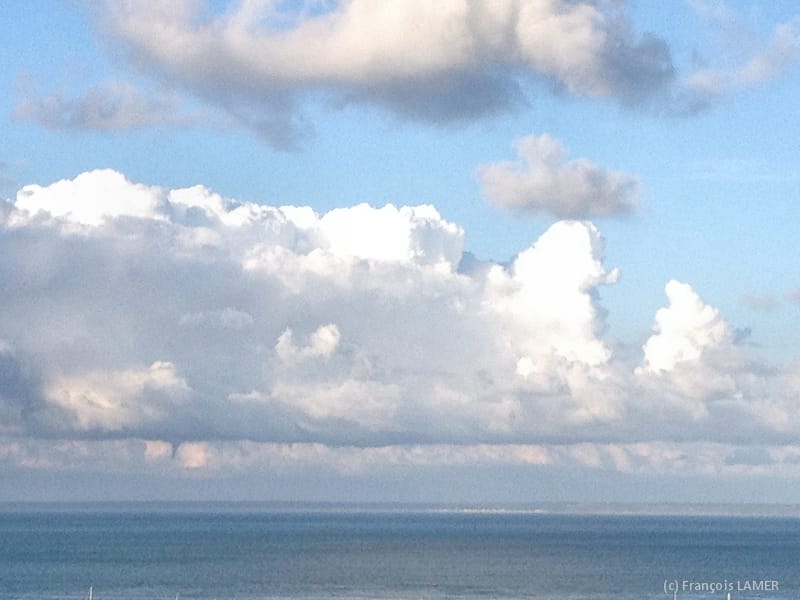 Tuba pendant 6 à 7 minutes au large de Granville, dans la Manche, le soir du 15 août 2014. (c) F. LAMER