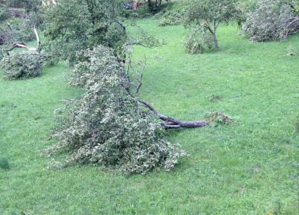 Dégâts à Florac, en Lozère, après le passage d'un orage violent en fin de nuit du 19 au 20 juillet 2014. (c) Eric Fourel