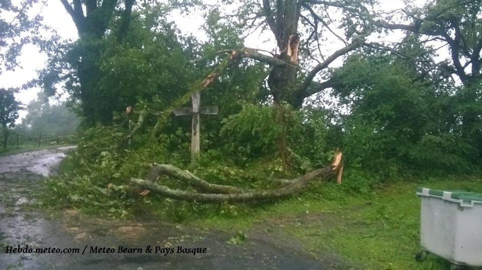 Dégâts dus au vent dans le Béarn - (c) Facebook Météo64