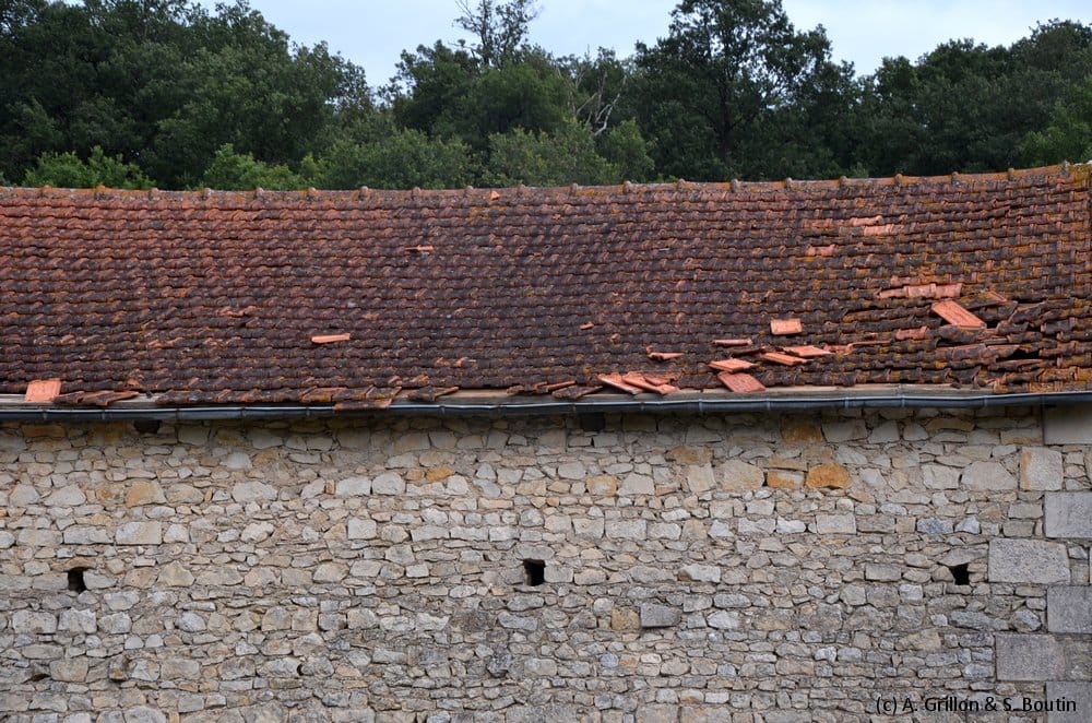 Dommages causés par la microrafale de Valdivienne (Vienne) du 28 juin 2014. (c) A. Grillon & S. Boutin - KERAUNOS Dommages causés par la microrafale de Valdivienne (Vienne) du 28 juin 2014. (c) A. Grillon & S. Boutin - KERAUNOS