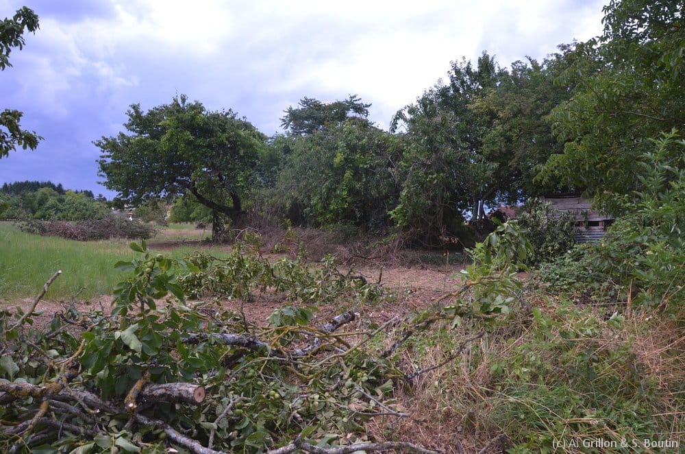 Dommages causés par la microrafale de Valdivienne (Vienne) du 28 juin 2014. (c) A. Grillon & S. Boutin - KERAUNOS Dommages causés par la microrafale de Valdivienne (Vienne) du 28 juin 2014. (c) A. Grillon & S. Boutin - KERAUNOS