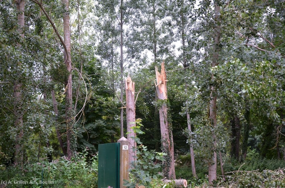 Dommages causés par la microrafale de Valdivienne (Vienne) du 28 juin 2014. (c) A. Grillon & S. Boutin - KERAUNOS Dommages causés par la microrafale de Valdivienne (Vienne) du 28 juin 2014. (c) A. Grillon & S. Boutin - KERAUNOS