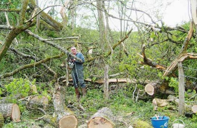 Tornade à Chanoy, en Haute-Marne, le mercredi 7 mai 2014. (c) Le Journal de la Haute-Marne