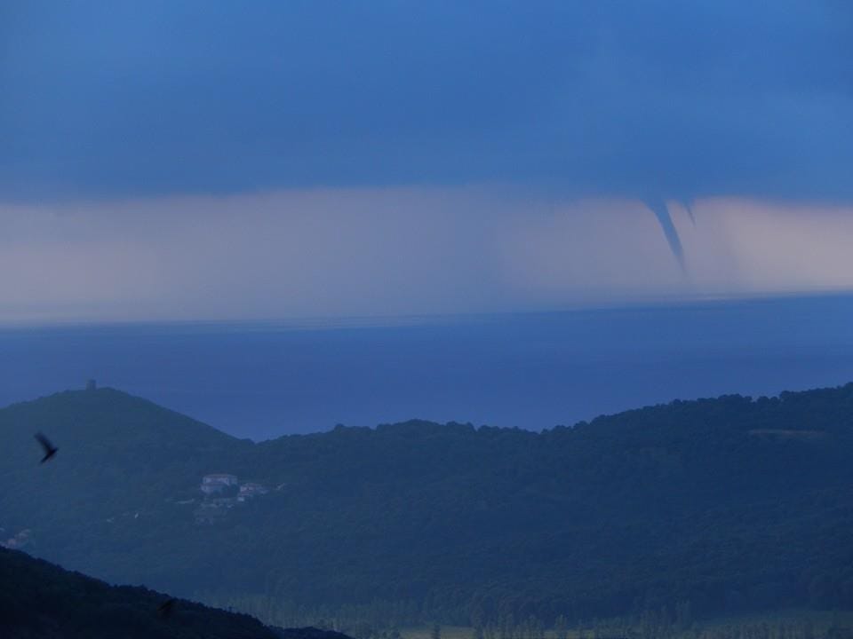 Trombe marine au large de la Haute-Corse le 31 mai 2014 - (c) Antoine MOZZICONACCI Trombe marine au large de la Haute-Corse le 31 mai 2014 - (c) Antoine MOZZICONACCI