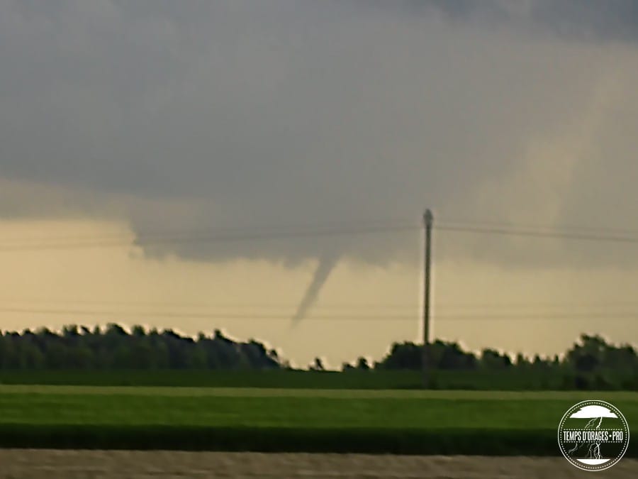 Tuba très développé près de Châlons-en-Champagne (Marne), le 7 mai 2006. (c) Xavier DELORME Tuba très développé près de Châlons-en-Champagne (Marne), le 7 mai 2006. (c) Xavier DELORME