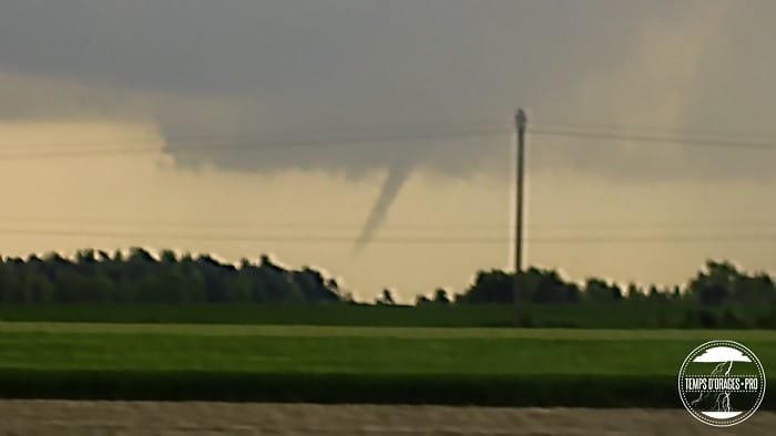 Tuba très développé près de Châlons-en-Champagne (Marne), le 7 mai 2006. (c) Xavier DELORME Tuba très développé près de Châlons-en-Champagne (Marne), le 7 mai 2006. (c) Xavier DELORME