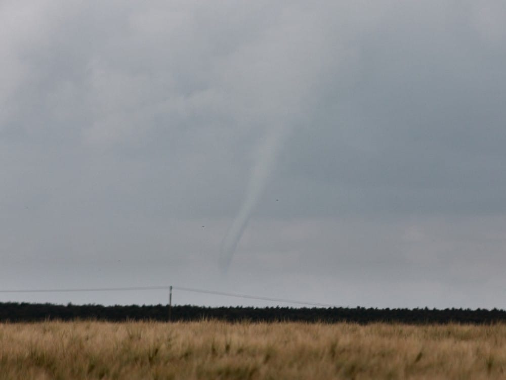 Tuba près de Fouronnes (lieu-dit Anus) dans l'Yonne le 29 mai 2014. (c) Arthur HELENE