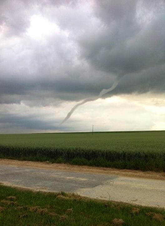 Tuba près de Liry (Ardennes) le 29 mai 2014. (c) Camille BOTTAN