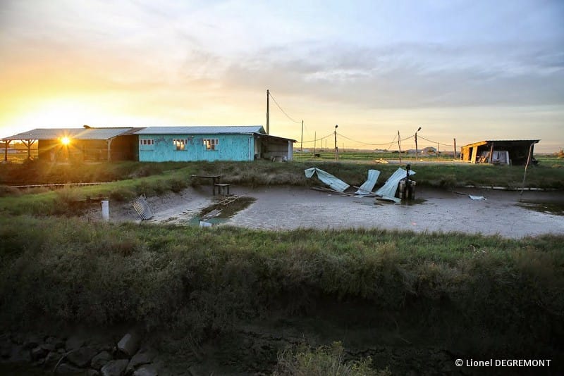 Projections de tôles dans les marais ostréicoles d'Etaules. © Lionel DEGREMONT Projections de tôles dans les marais ostréicoles d'Etaules. © Lionel DEGREMONT