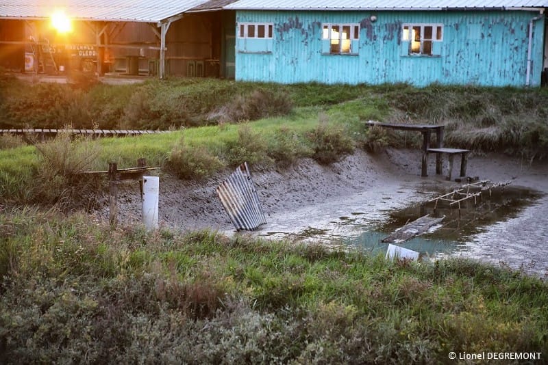 Tôle plantée dans la vase, dans les marais ostréicoles d'Etaules. © Lionel DEGREMONT Tôle plantée dans la vase, dans les marais ostréicoles d'Etaules. © Lionel DEGREMONT