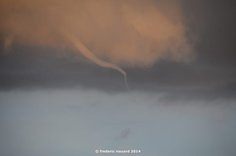 Tuba dans les environs de Surgères (Charente-Maritime), le 4 novembre 2014. © F. NOUARD